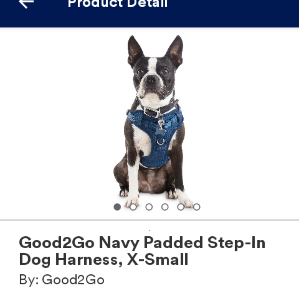 Dog Harness